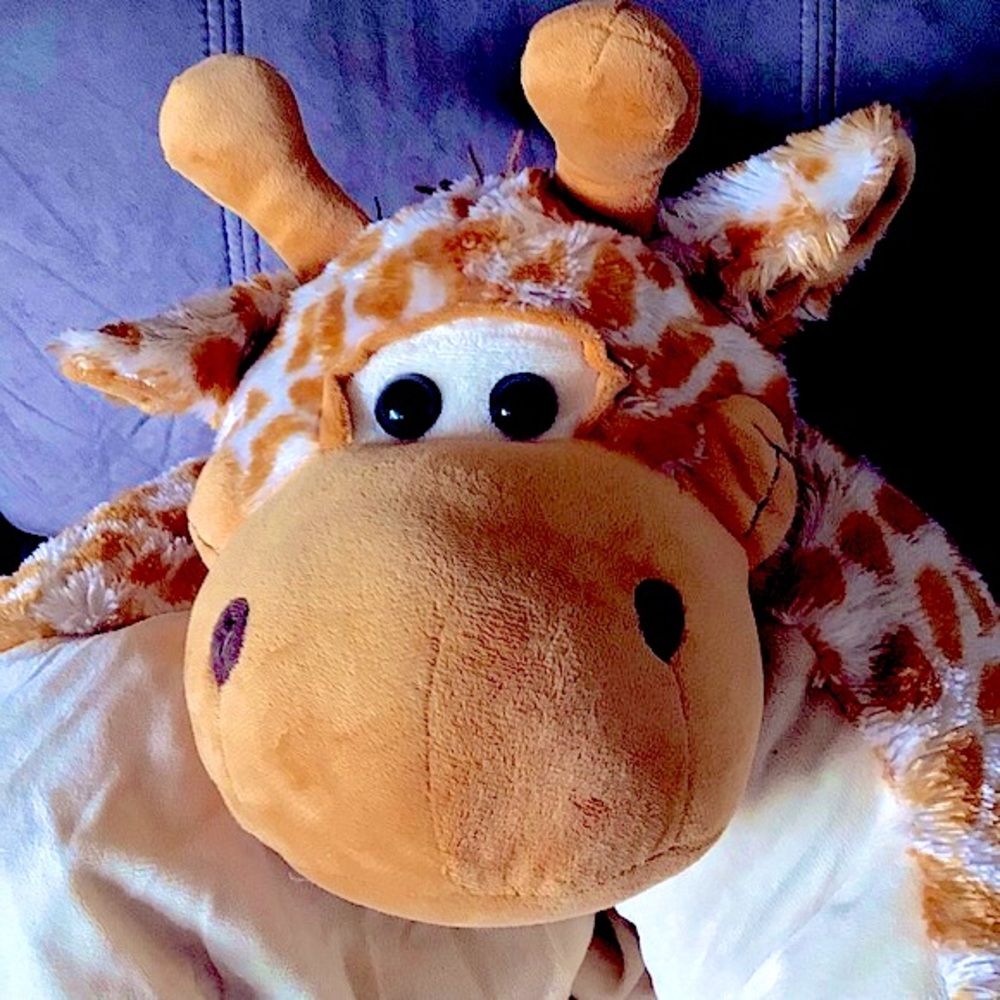 Reading Buddy - Snuggly Plush Giraffe Animal Pal Toy (Books not included)
